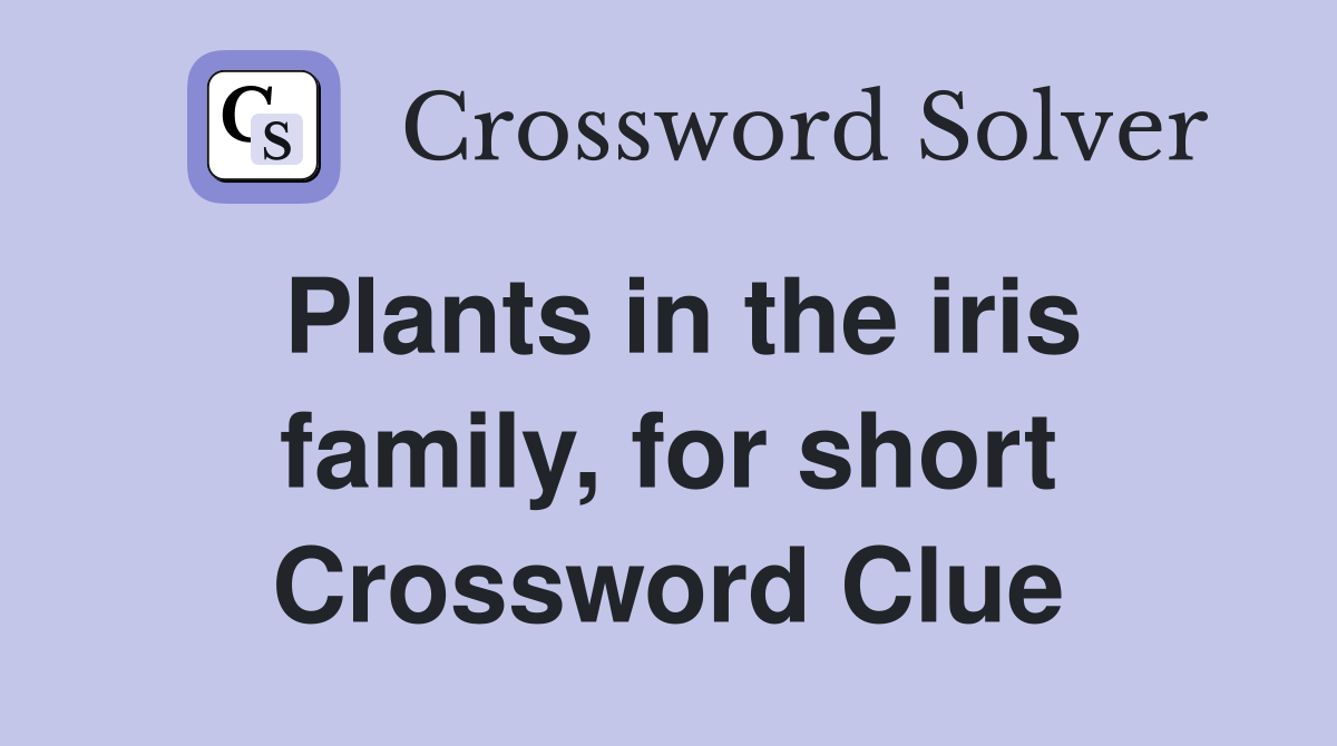 Plants in the iris family, for short Crossword Clue Answers